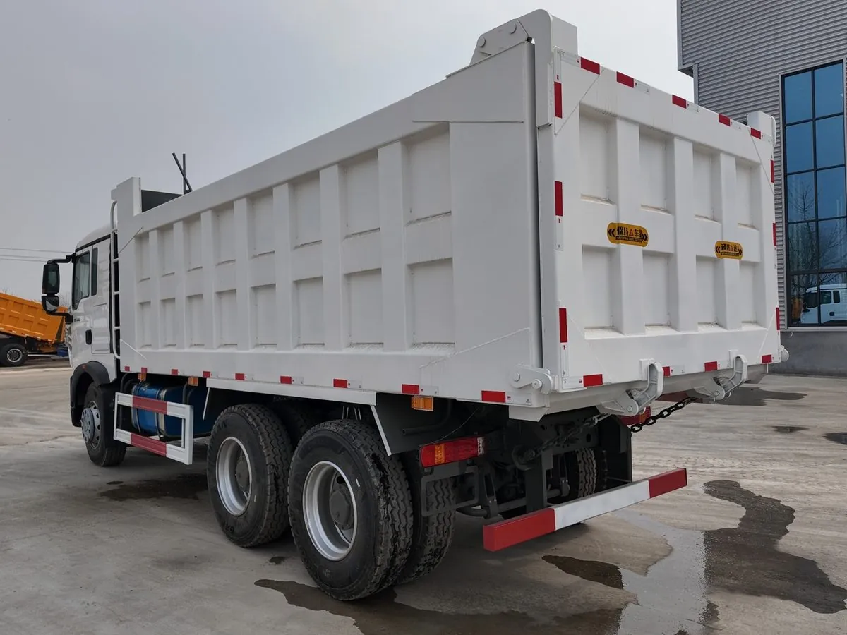 HOWO dump truck rear view — export ready