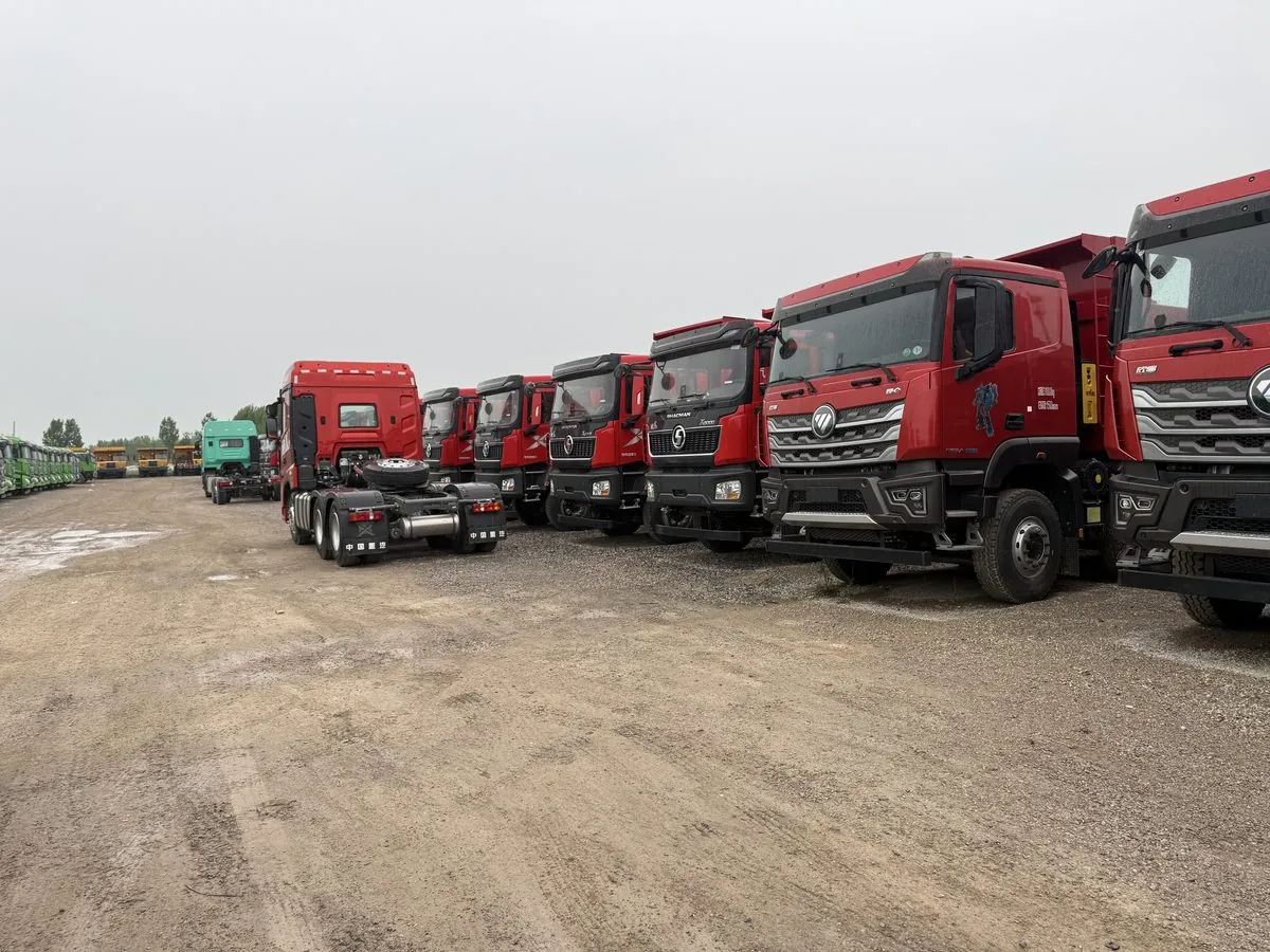 Fresh arrivals — SHACMAN and HOWO rows at the yard